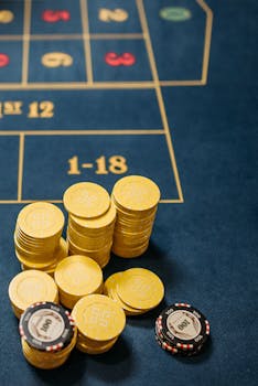 Paf Com Kolikkopelit: Tietoa Kasinomaailmasta Ja Pafin Peli- Ja Bonustarjonta