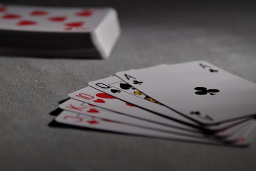 https://images.pexels.com/photos/654321/pexels-photo-654321.jpeg