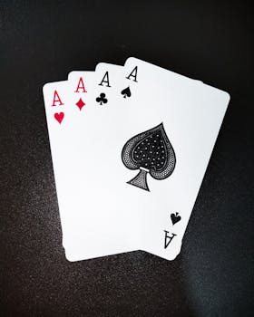 https://images.pexels.com/photos/223344/pexels-photo-223344.jpeg